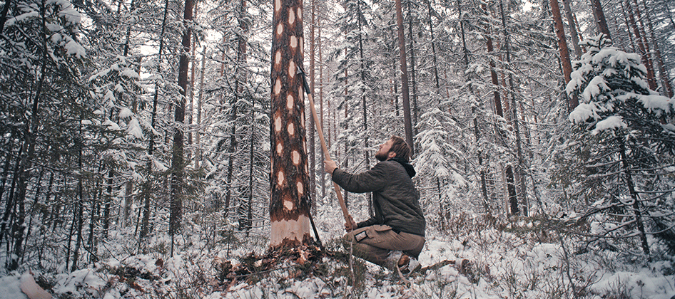 slideshow_norway_forestry_0000s_0014.png
